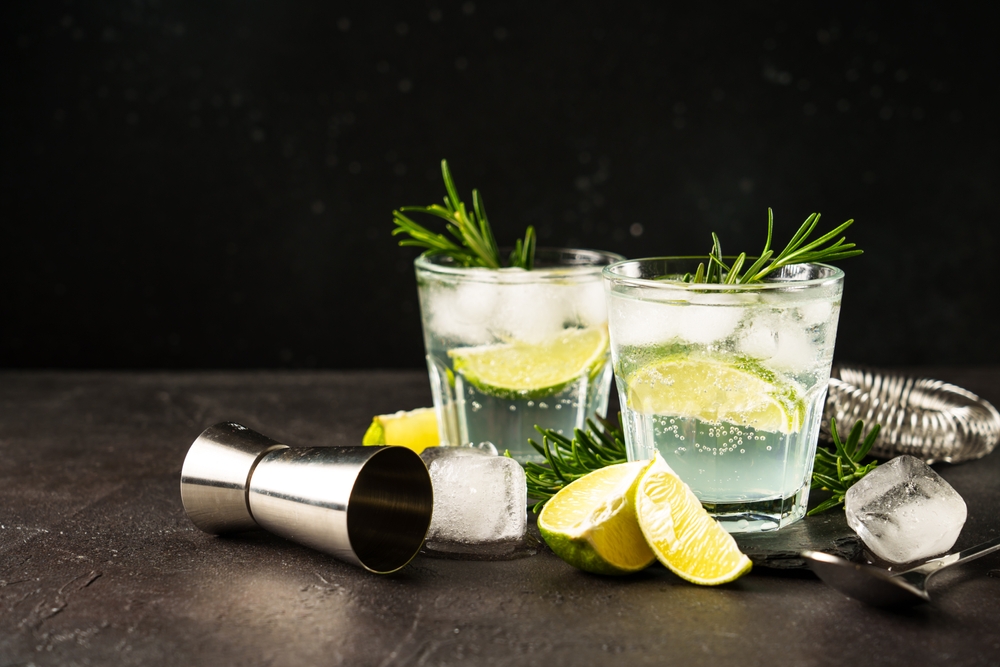 Gin & Tonic lime-mal